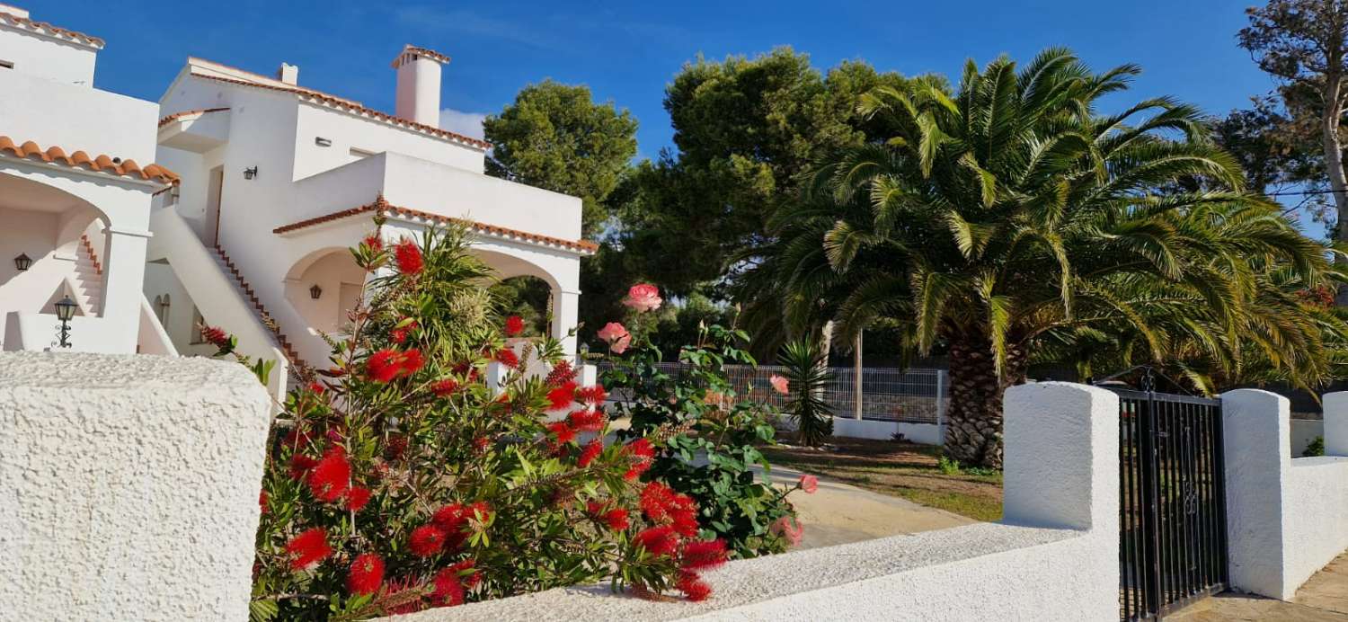 Hermoso apartamento con vistas al mar!