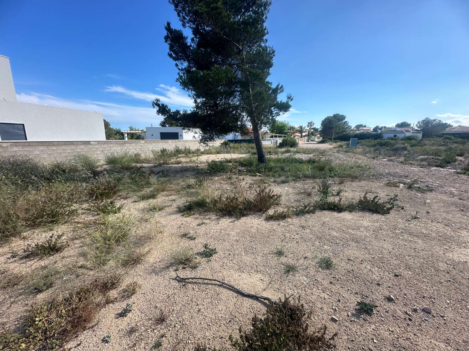 Land for sale in Calafat