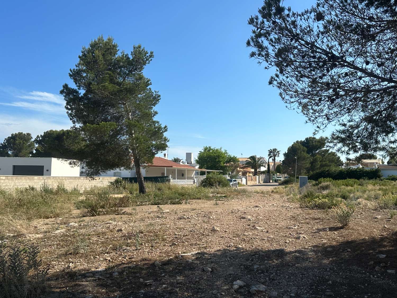 Land for sale in Calafat